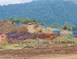 Mangrove Terjarah, PT ATI Sambalagi Tak Kunjung Sosialisasi