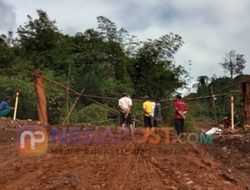 Telah IPO, PT TAS Di Duga Rambah Kebun Warga Desa Torete Tanpa Ganti Rugi