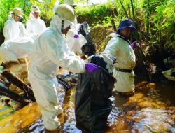 Respon Cepat PT Vale Beri Bantuan Air Bersih Untuk Warga Desa Lioka Dan Timampu